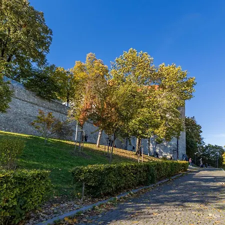 Castle Vista Getaway, Free Parking Apartment